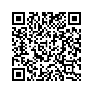 OpQRCode 50535101