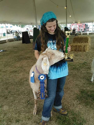 greene county ny 2016 youth fair