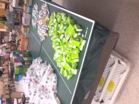 2017 Senior Thanksgiving 62