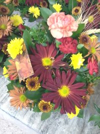 2017 Senior Thanksgiving 65