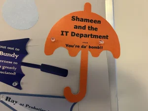Shameen and the IT Department