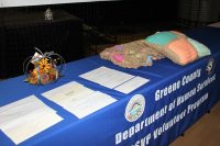 2017 RSVP Volunteer Recognition 15