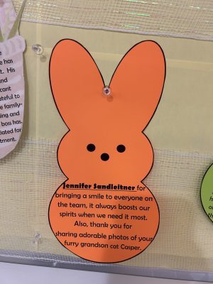 Jennifer Sandleitner