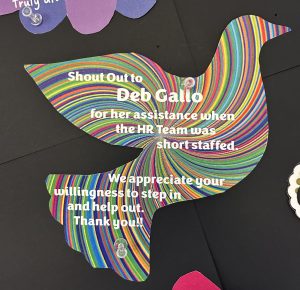 Deb Gallo